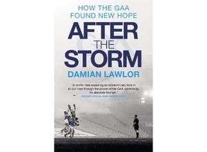 9781785304668 - After the Storm - Damian Lawlor Kartoniert (TB)