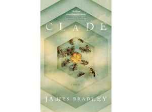 9781785654145 - Clade - James Bradley Kartoniert (TB)