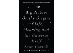 9781786071033 - The Big Picture - Sean Carroll Kartoniert (TB)