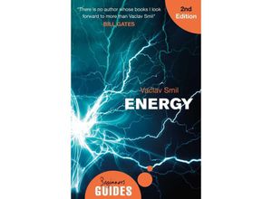 9781786071330 - Energy - Vaclav Smil Kartoniert (TB)