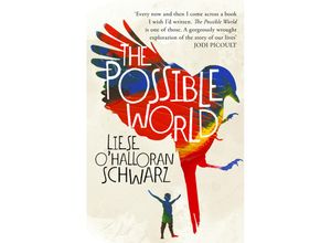 9781786331199 - The Possible World - Liese OHalloran Schwarz Kartoniert (TB)