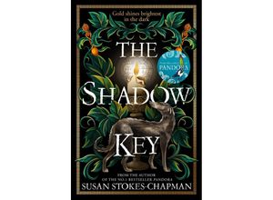 9781787302914 - The Shadow Key - Susan Stokes-Chapman Kartoniert (TB)