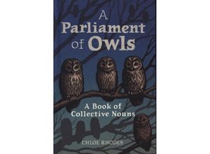 9781789295955 - A Parliament of Owls - Chloe Rhodes Gebunden