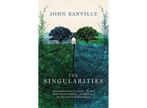 9781800753365 - Singularities - John Banville Kartoniert (TB)