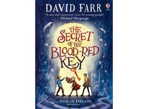 9781801311090 - The Secret of the Blood-Red Key - David Farr Gebunden