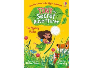 9781801314138 - Tiny the Secret Adventurer The Mystery Visitor - Aisha Bushby Kartoniert (TB)