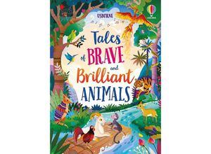 9781803706597 - Illustrated Story Collections   Tales of Brave and Brilliant Animals - Susanna Davidson Mairi Mackinnon Lan Cook Gebunden