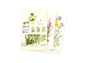 9781804176429 - Mini-Notizbücher (3er-Pack) - Dreier Set Mini-Notizbücher Royal Botanic Garden Edinburgh