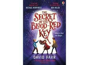 9781805076360 - The Secret of the Blood-Red Key - David Farr Kartoniert (TB)