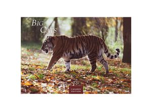 9781835241240 - Big Cats 2025 L 35x50cm