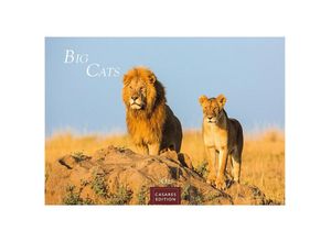 9781835241257 - Big Cats 2025 S 24x35cm