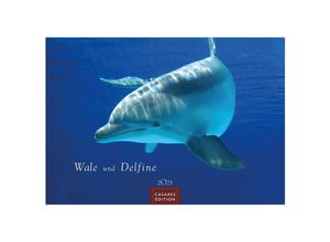 9781835241264 - Wale und Delfine 2025 L 35x50cm