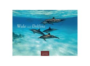 9781835241271 - Wale und Delfine 2025 S 24x35cm