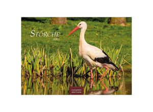 9781835241301 - Störche 2024 L 35x50cm