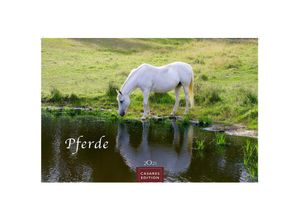 9781835242230 - Pferde 2025 S 24x35cm