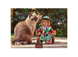 9781835243237 - Funny Cats 2025 S 24x35cm