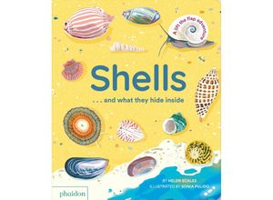 9781838667887 - Shells and what they hide inside - Helen Scales Sonia Pulido Gebunden 9781838667887 - Shells and what they hide inside - Helen Scales Sonia Pulido Gebunden