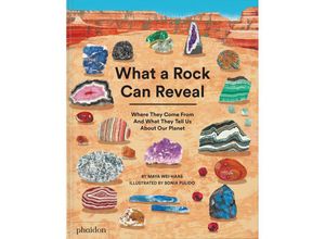 9781838667894 - What a Rock Can Reveal - Maya Wei-Haas Sonia Pulido Gebunden