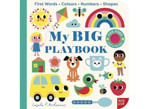 9781839949241 - My BIG Playbook - Ingela P Arrhenius Pappband