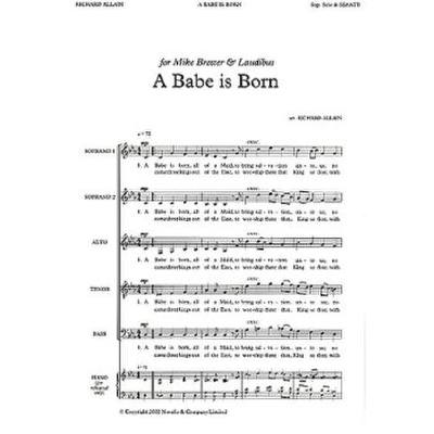 9781846091926 - A babe is born