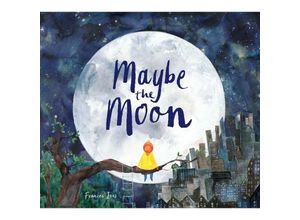 9781910552841 - Maybe the Moon - Frances Ives Kartoniert (TB)