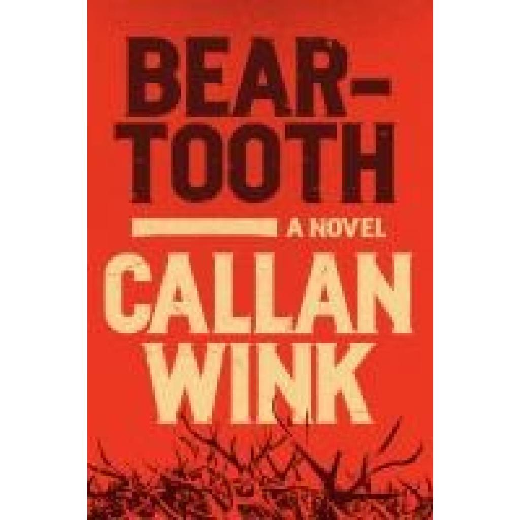 9781954118027 - Wink Callen Beartooth