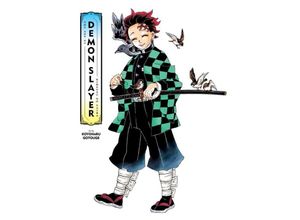 9781974734108 - The Art of Demon Slayer Kimetsu no Yaiba Gebunden