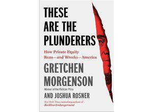 9781982191283 - These Are the Plunderers - Gretchen Morgenson Joshua Rosner Gebunden