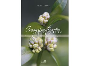 9783000535352 - Imaginationen - Thomas Kinkele Gebunden