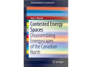 9783030023959 - SpringerBriefs in Geography   Contested Energy Spaces - Tarje I Wanvik Kartoniert (TB)