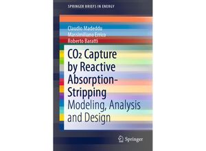 9783030045784 - SpringerBriefs in Energy   CO2 Capture by Reactive Absorption-Stripping - Claudio Madeddu Massimiliano Errico Roberto Baratti Kartoniert (TB)