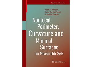 9783030062422 - Frontiers in Mathematics   Nonlocal Perimeter Curvature and Minimal Surfaces for Measurable Sets - José M Mazón Julio Daniel Rossi J Julián Toledo Kartoniert (TB)