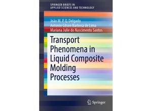 9783030127152 - SpringerBriefs in Applied Sciences and Technology   Transport Phenomena in Liquid Composite Molding Processes - João MPQ Delgado Antonio Gilson Barbosa de Lima Mariana Julie do Nascimento Santos Kartoniert (TB)