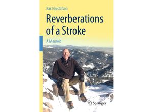 9783030128647 - Reverberations of a Stroke - Karl Gustafson Kartoniert (TB)