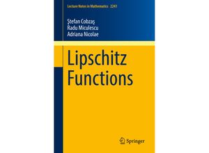 9783030164881 - Lipschitz Functions - Stefan Cobzas Radu Miculescu Adriana Nicolae Kartoniert (TB)