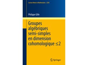 9783030172718 - Groupes algébriques semi-simples en dimension cohomologique 2 - Philippe Gille Kartoniert (TB)