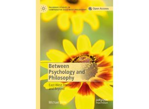 9783030225056 - Palgrave Studies in Comparative East-West Philosophy   Between Psychology and Philosophy - Michael Slote Kartoniert (TB)