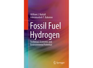 9783030309077 - Fossil Fuel Hydrogen - William J Nuttall Adetokunboh T Bakenne Kartoniert (TB)