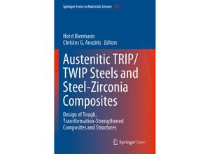 9783030426057 - Austenitic TRIP TWIP Steels and Steel-Zirconia Composites Kartoniert (TB)