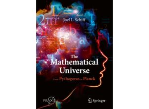 9783030506513 - Praxis Books   The Mathematical Universe - Joel L Schiff Kartoniert (TB)