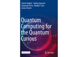 9783030616038 - Quantum Computing for the Quantum Curious - Ciaran Hughes Joshua Isaacson Anastasia Perry Ranbel F Sun Jessica Turner Kartoniert (TB)