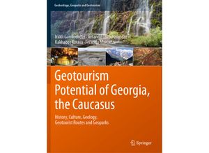 9783030629687 - Geoheritage Geoparks and Geotourism   Geotourism Potential of Georgia the Caucasus - Irakli Gamkrelidze Avtandil Okrostsvaridze Kakhaber Koiava Ferando Maisadze Kartoniert (TB)