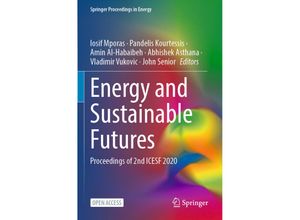 9783030639181 - Springer Proceedings in Energy   Energy and Sustainable Futures Kartoniert (TB)