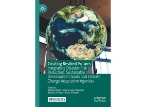 9783030807931 - Creating Resilient Futures Kartoniert (TB)