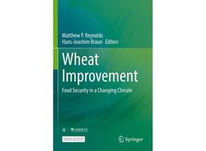 9783030906757 - Wheat Improvement Kartoniert (TB)