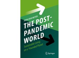 9783030917845 - The Post-Pandemic World - John Erik Meyer Kartoniert (TB)