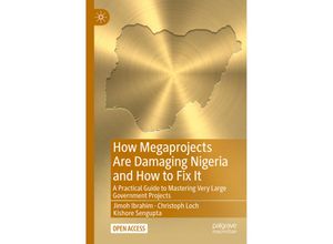 9783030964764 - How Megaprojects Are Damaging Nigeria and How to Fix It - Jimoh Ibrahim Christoph Loch Kishore Sengupta Kartoniert (TB)