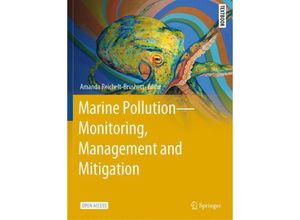 9783031101298 - Marine Pollution - Monitoring Management and Mitigation Kartoniert (TB)