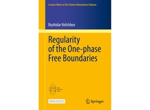 9783031132377 - Regularity of the One-phase Free Boundaries - Bozhidar Velichkov Kartoniert (TB)