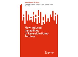 9783031180569 - SpringerBriefs in Energy   Flow-Induced Instabilities of Reversible Pump Turbines - Xianghao Zheng Yuning Zhang Jinwei Li Kartoniert (TB)